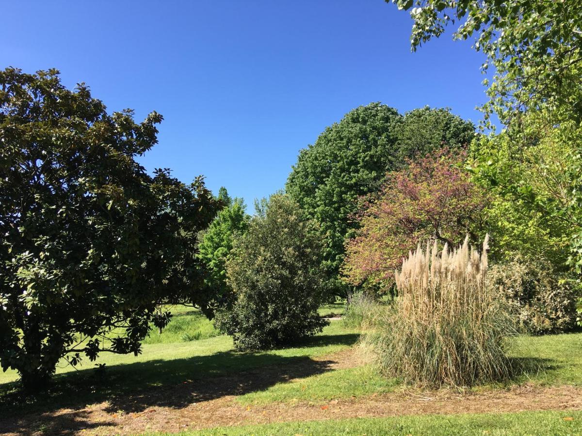 Au Bonheur Dupre B&B Montoire-sur-le-Loir Luaran gambar